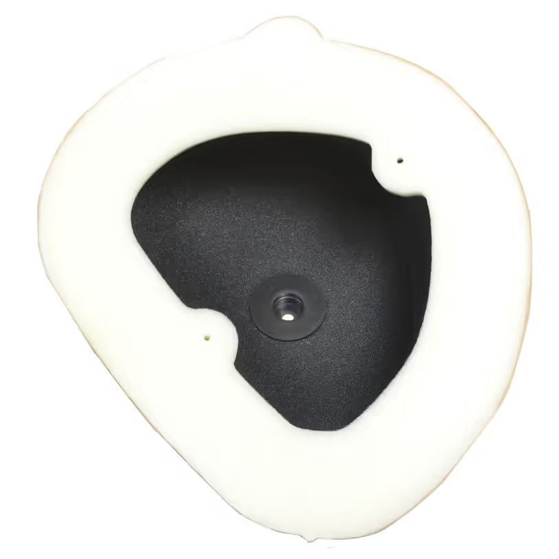 ATHENA Air Filter Code: S410250200023